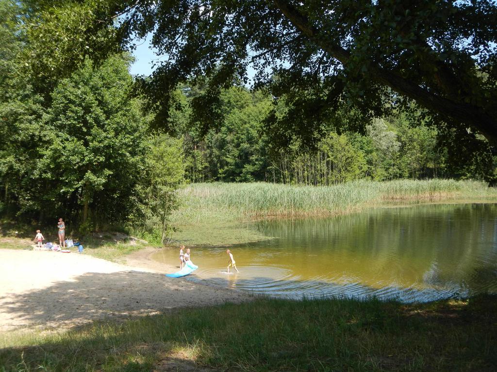 Agroturystyka U Ostrowskich Villa Chartow Dış mekan fotoğraf