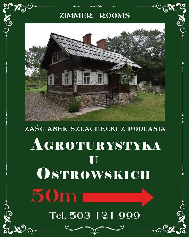 Agroturystyka U Ostrowskich Villa Chartow Dış mekan fotoğraf